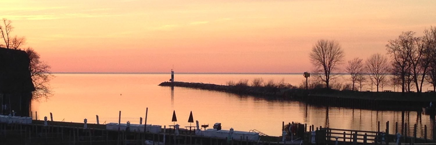 Eric E. Roselli banner