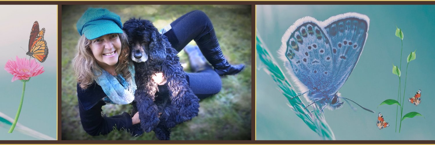 BalanCHIng's profile banner image
