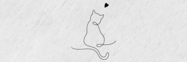 FernandaPP07's profile banner image