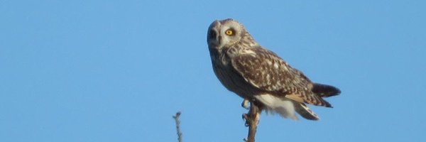 Timberdoodle20 Profile Banner