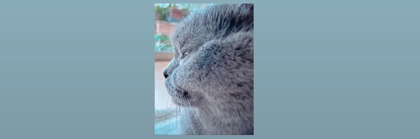 Sude_Atav's profile banner image