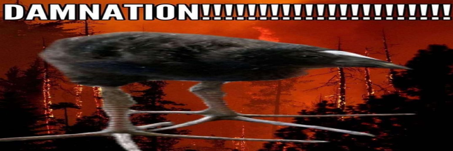 Malek M. Johnson III banner