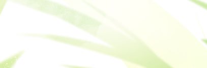 d2on ☘ banner