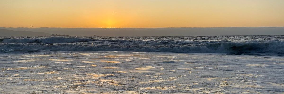MiliFerragut's profile banner image