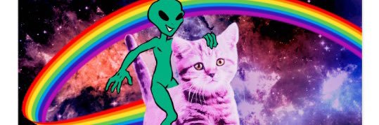 JulieDiPiazza's profile banner image