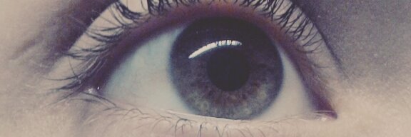 Kevin palacios banner