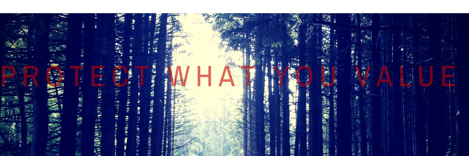 Charlene Barla banner