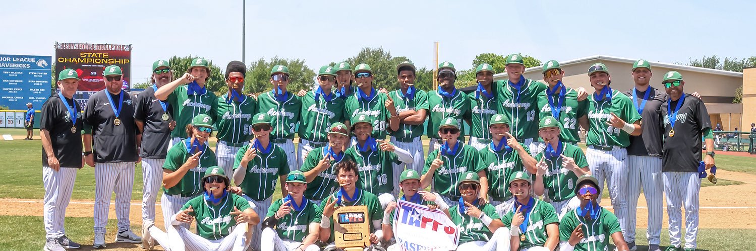 LSA Pioneer Baseball's banner