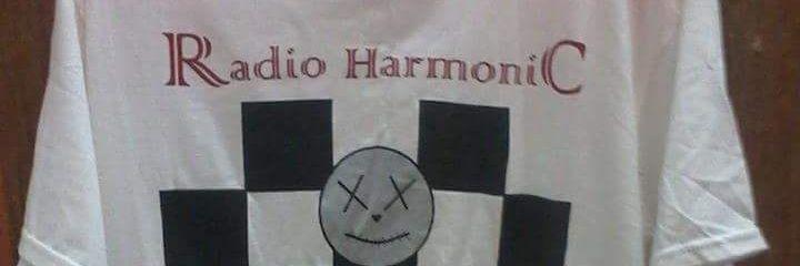 RickyHarmonic's profile banner image
