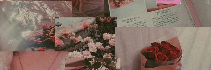 เอลิส🌼 banner