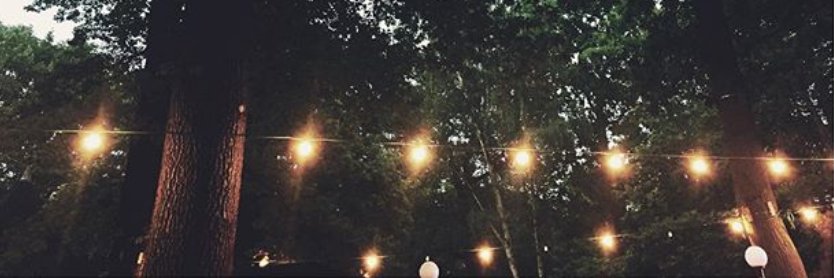 scb_sara's profile banner image