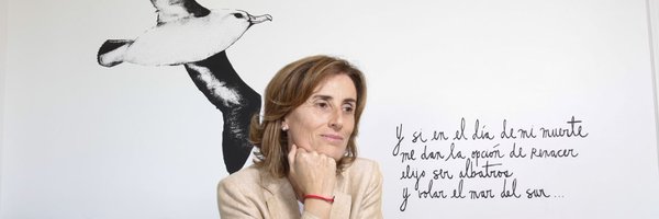 mcubillossigall Profile Banner