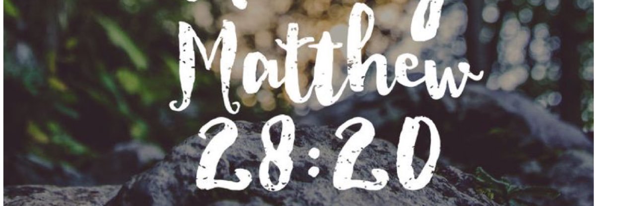 Brooklynnhalf's profile banner image