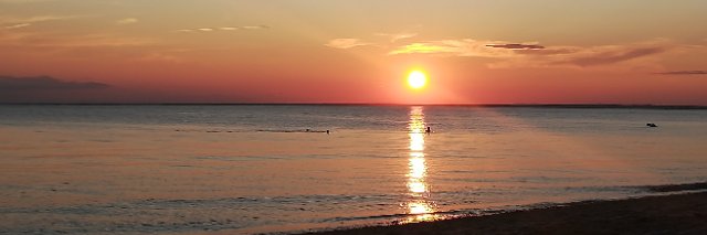 Mrs. Almeida & Ms. Cambra banner
