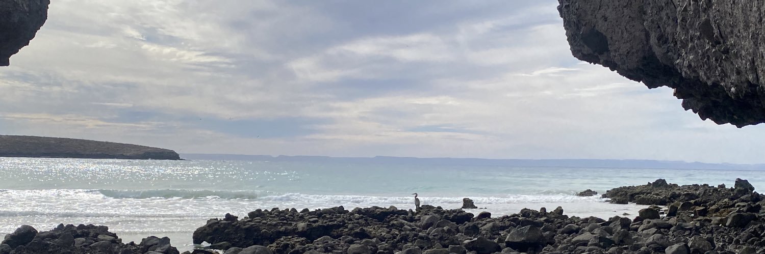 rominguito's profile banner image
