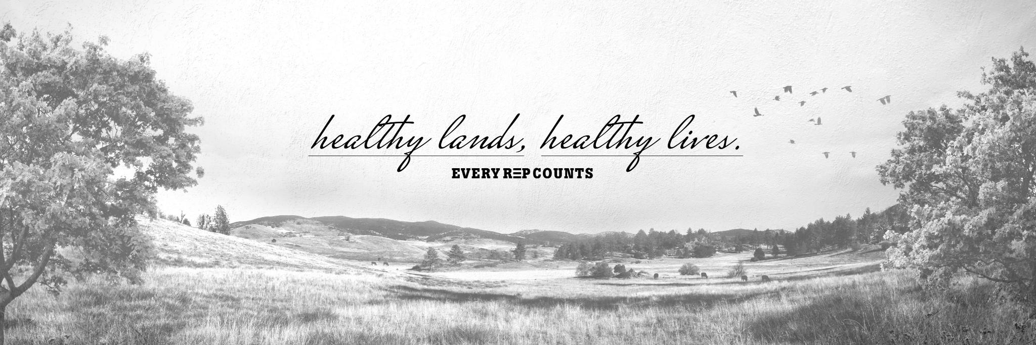 REP Provisions banner