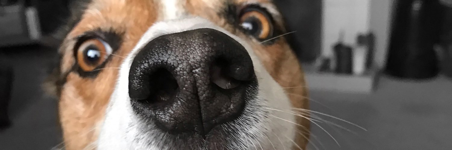 stephwrightx's profile banner image