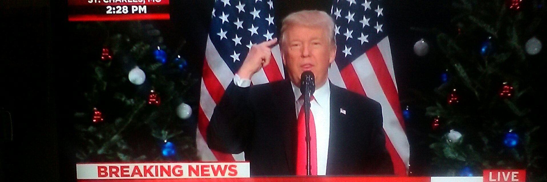 YELLER DOG DEMOCRAT banner