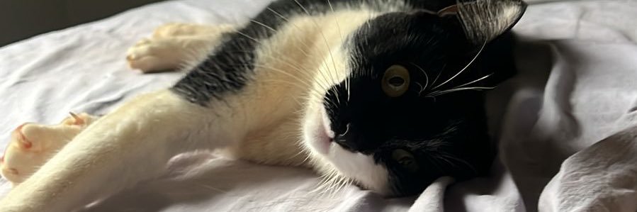 EMY banner