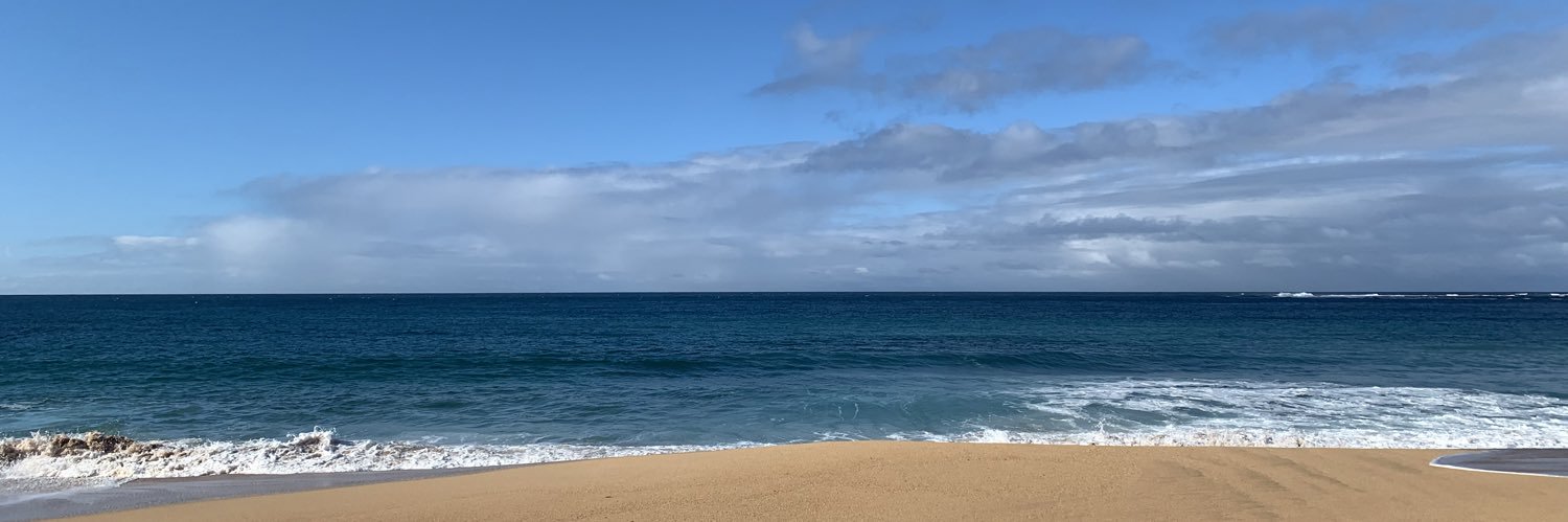 ripvega75's profile banner image