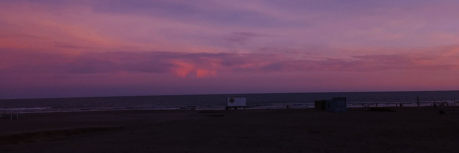 sofiperotti's profile banner image