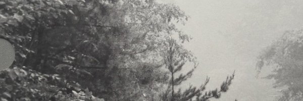 TiagoGuidi1 Profile Banner