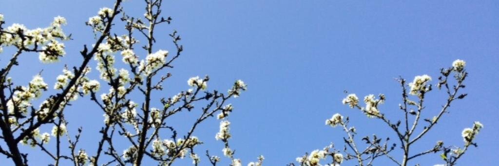 Jeninnit's profile banner image