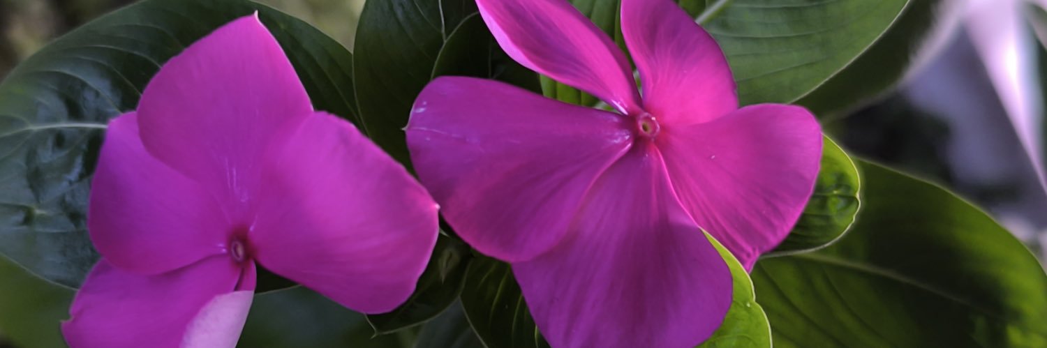 Soy_Rahmita's profile banner image