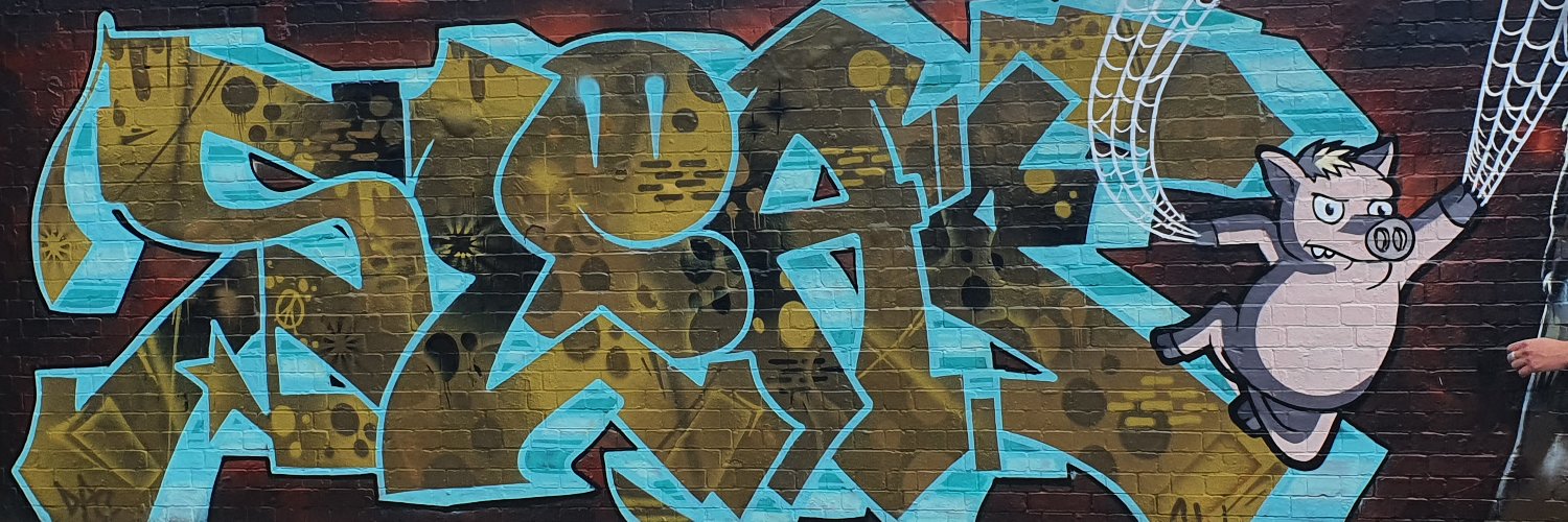 The cat is a lie banner