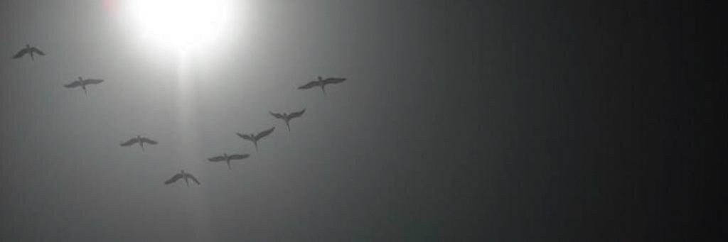 Bestaliadelv's profile banner image