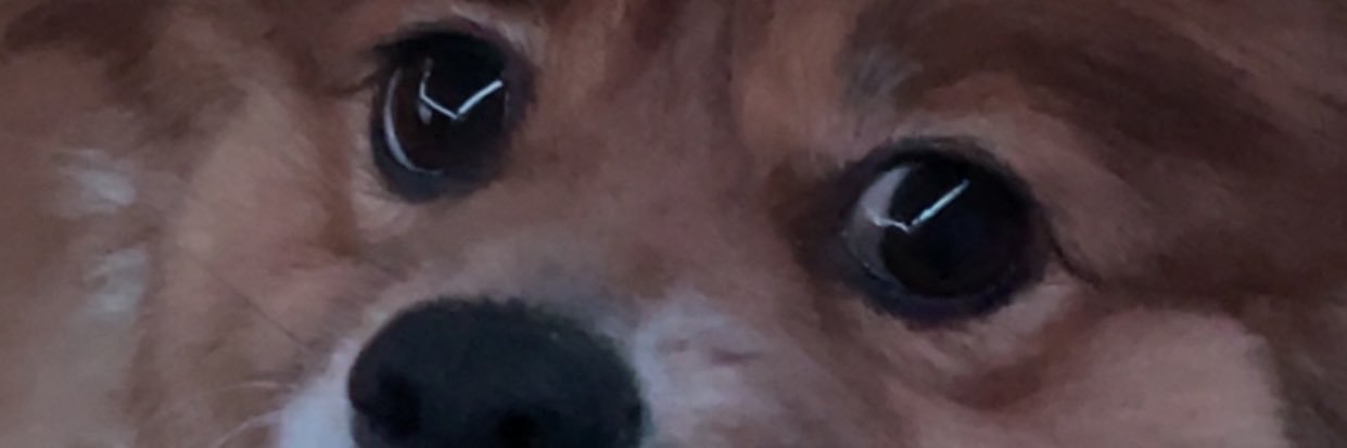 Austin B banner