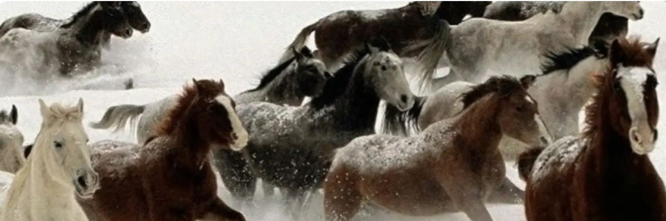 JaneAllHeart's profile banner image