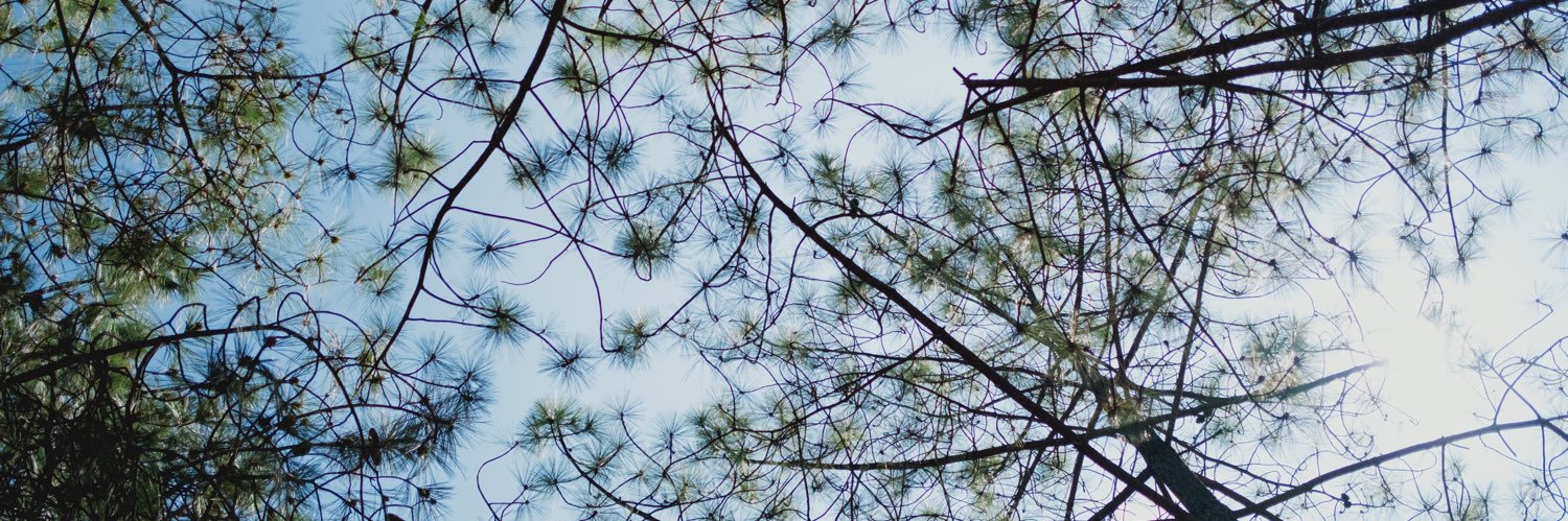 PDanielrojas's profile banner image