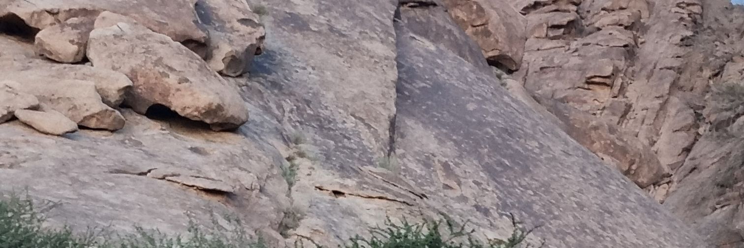 ابو فهد السويلمي banner