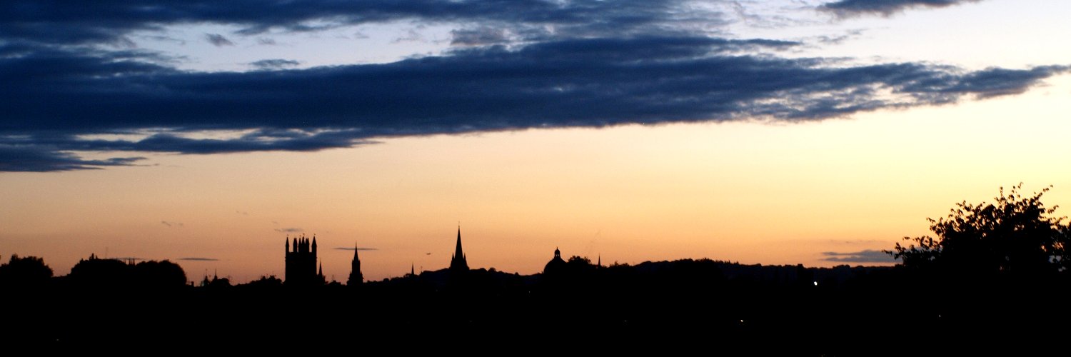 David B Sauer banner