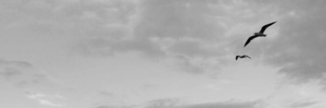 simgetorun's profile banner image