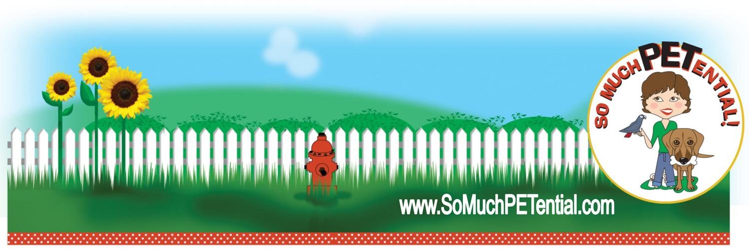 SoMuchPETential's profile banner image