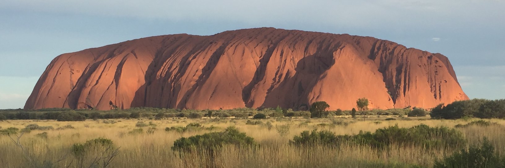 Braxton Jones banner