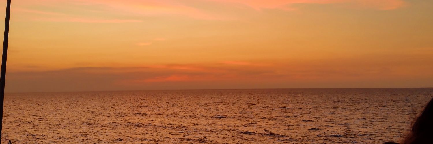 valkmur's profile banner image