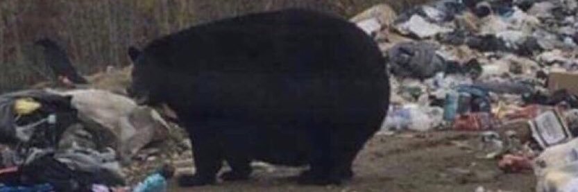 Mackyboi6's profile banner image