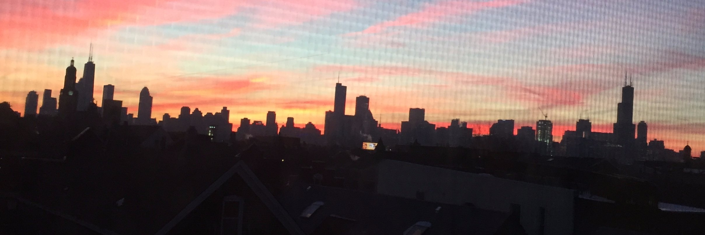 Allison Weil Lechnir banner