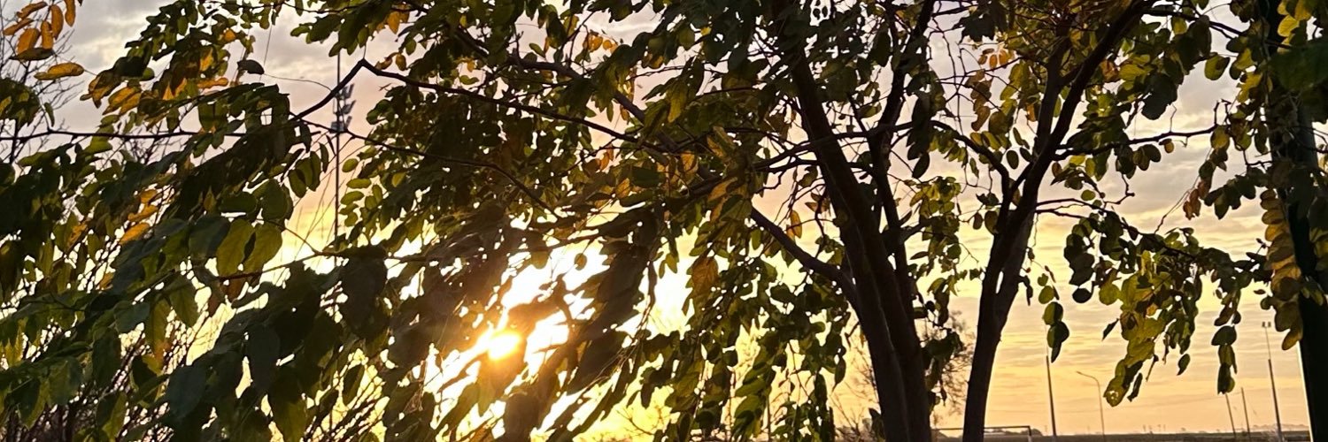 _Vickyyysg_'s profile banner image