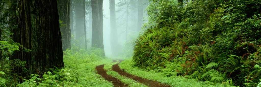 savindu sandaruwan banner