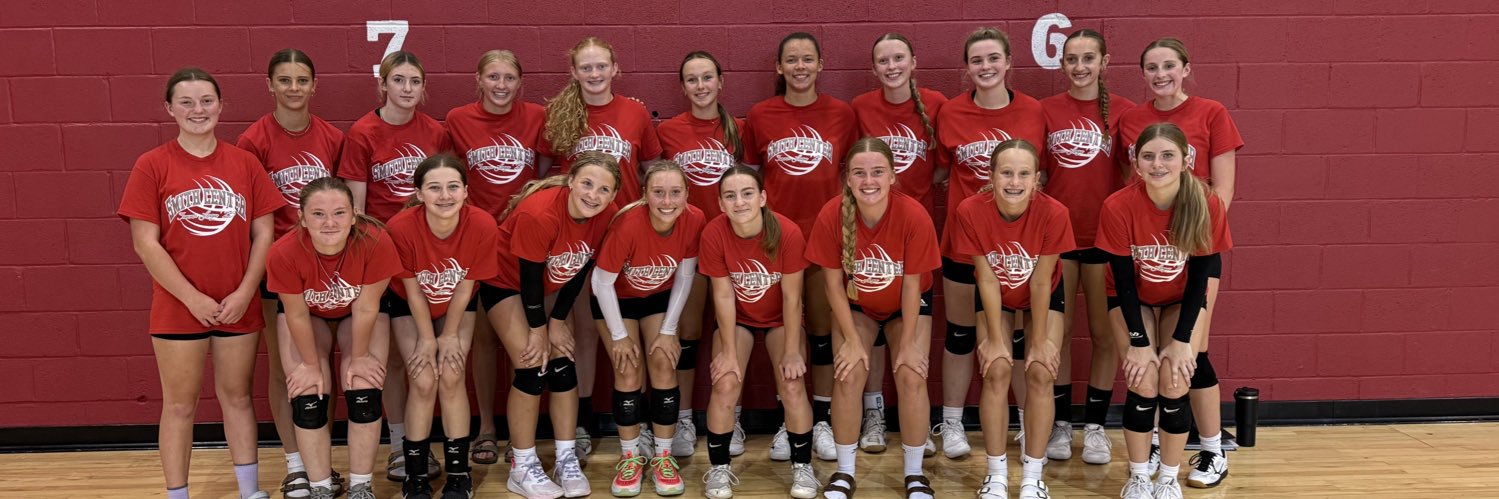 Lady Red Volleyball banner