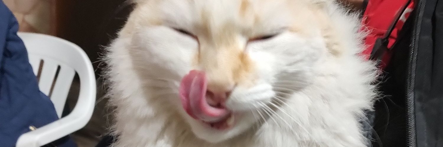 willjkk_'s profile banner image
