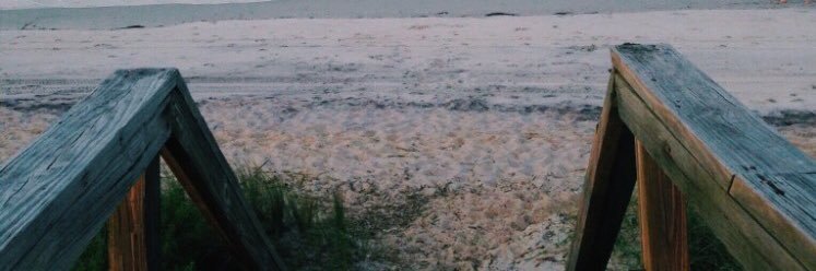 dylan mott banner