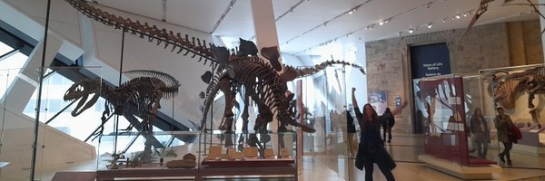 palaeophd Profile Banner