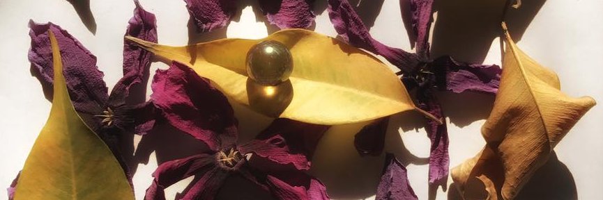 Nevlice's profile banner image