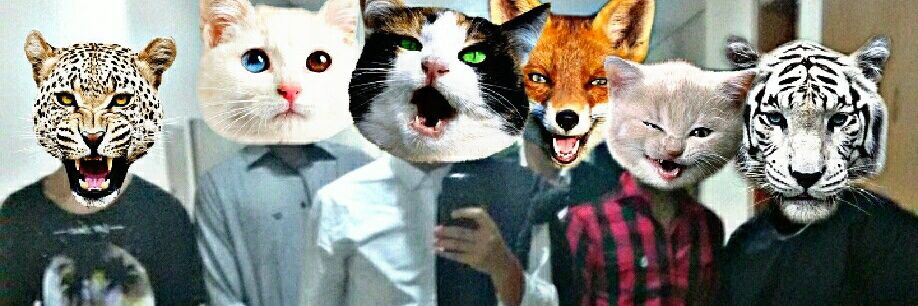 Lucasduar73's profile banner image