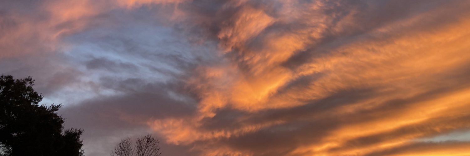 thestormhearted's profile banner image